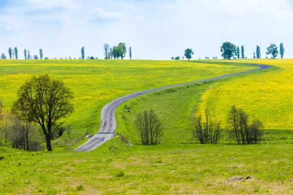 Lente landschap met een weg, Tsjechië — Stockfoto