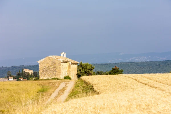 Capela com campo de cereais, Plateau de Valensole, Provence — Fotografia de Stock