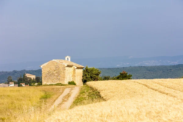 Kaplica z ziarna pole, Plateau de Valensole, Prowansja — Zdjęcie stockowe