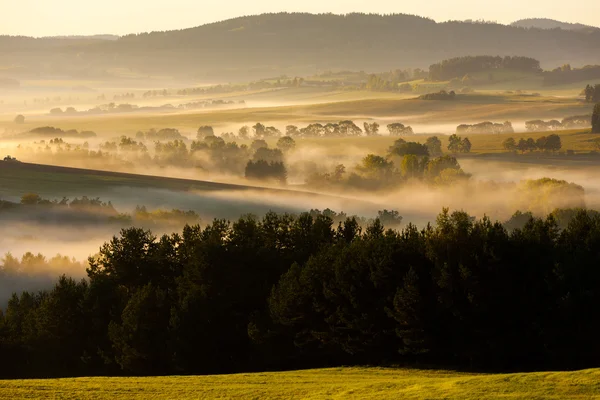 Herfst landschap in de mist, Sumava — Stockfoto