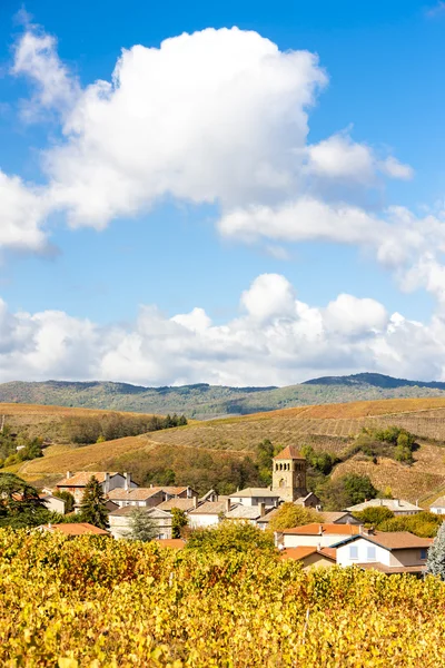 Village Salles-Arbuissonnas-en-Beaujolais with vineyard — Stock Photo, Image