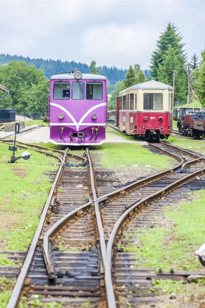 Úzkorozchodná železnice, Nová Bystřice, Česká republika — Stock fotografie