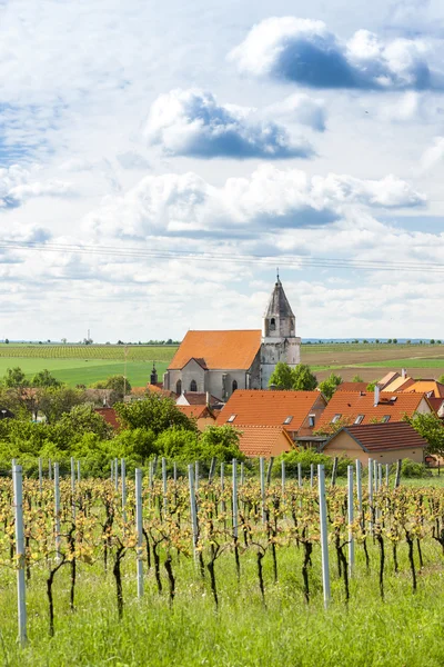 Hanice mit Quellweinberg — Stockfoto