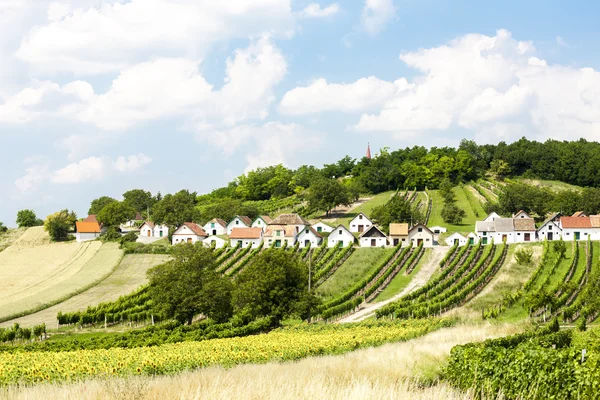 Adegas com vinhas, Galgenberg, Baixa Áustria — Fotografia de Stock