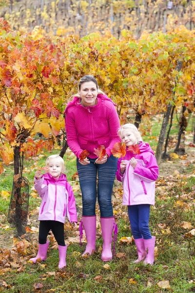 Mother and her daughters in autumnal vineyard — Stock Photo, Image