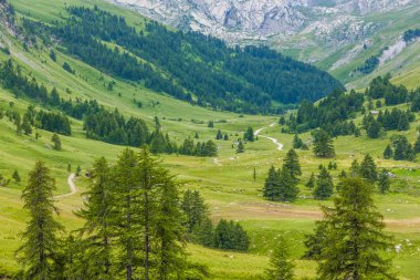 Vallon du Lauzanier, Mercantour Milli Parkı, Fransa
