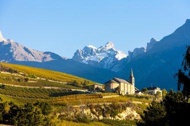 üzüm bağları Conthey, Sion bölge, Kanton Valais, S kilisede aşağıda