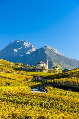 üzüm bağları Conthey, Sion bölge, Kanton Valais, S kilisede aşağıda
