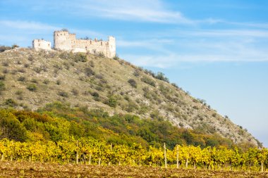 Devicky kale kalıntıları üzüm bağıyla sonbahar, Çek Cumhuriyeti