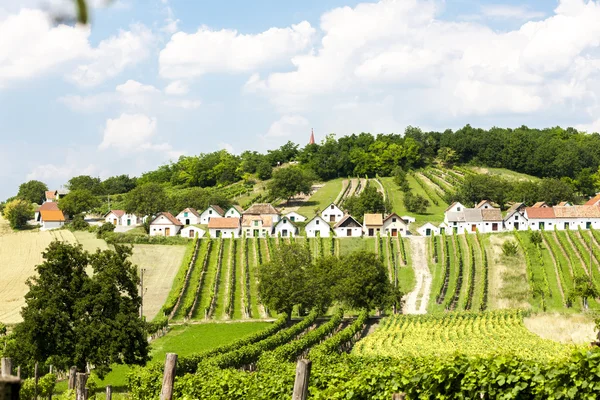 Weinkeller mit Weinbergen, Galgenberg, Niederösterreich, Österreich — Stockfoto