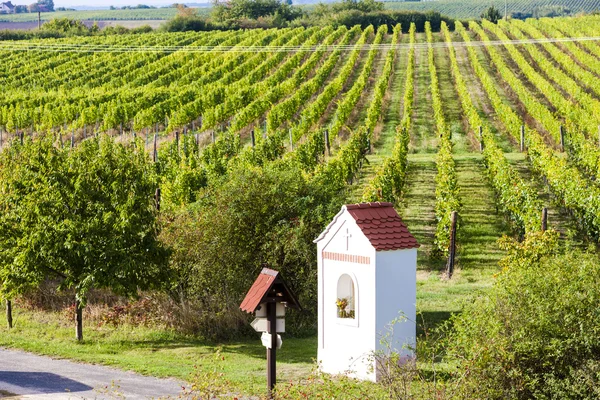 Torture de Dieu près de Hnanice avec vignoble automnal, Sud du Mor — Photo