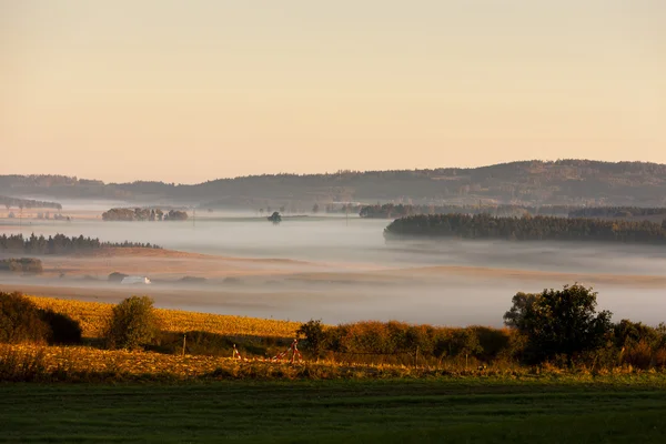 Осенний пейзаж в тумане, Сумава, Чехия — стоковое фото