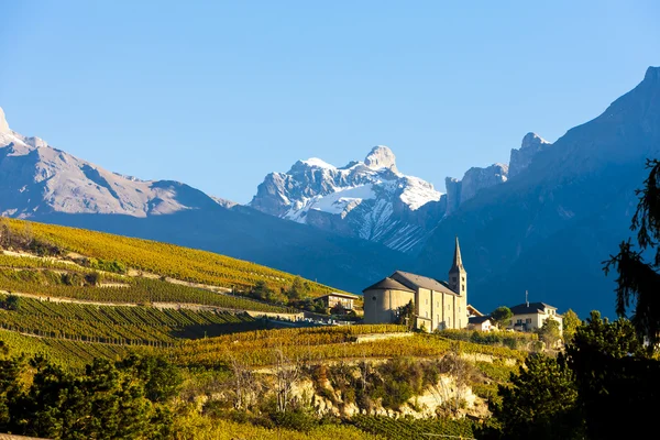 Viñedos debajo de la iglesia en Conthey, región de Sion, cantón Valais, S — Foto de Stock