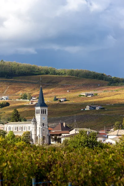 Chenas with vineyard, Feljolais, Rhone-Pées, France — стоковое фото