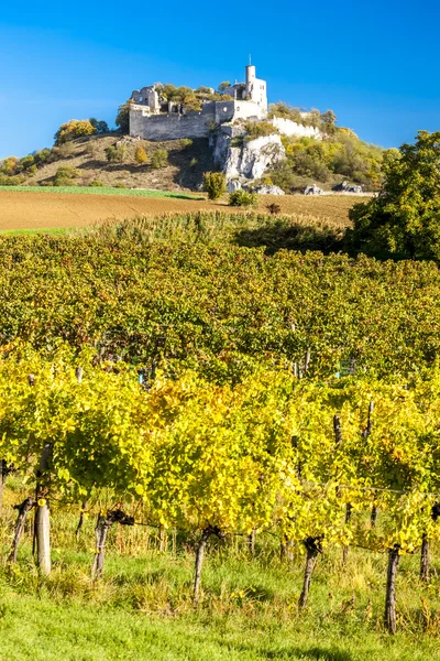 Ruines du château de Falkenstein avec vignoble en automne, Bas Austr — Photo