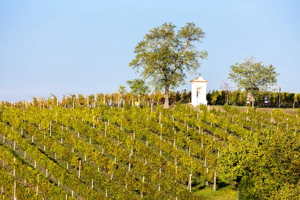 God's torture with autumnal vineyard, Modre Hory, Southern Mora — Stock Photo, Image