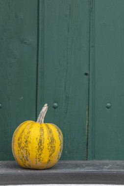 Sarı çizgili balkabağı Zellerndorf, Avusturya 'da bir giriş dekore ediyor.