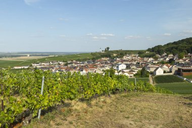 Verzenay village viewed from surrounding vineyards on a sunny day in the Marne department