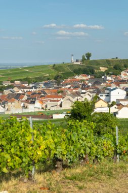 Verzenay village with its lighthouse dominating the hillside, surrounded by lush Champagne vineyards