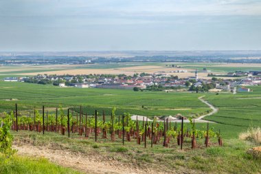 Vineyards and Bouzy village displaying the viticulture landscape in Grand Est, France