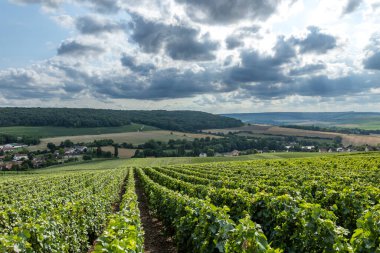 Green grapevines growing in rows on hills overlooking a village under a cloudy sky