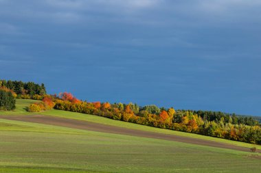Yuvarlanan tarlalar, koyu mavi bir gökyüzünün altında canlı bir sonbahar ağacı hattına çıkıyor.