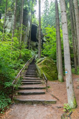Çekoslovakya 'nın Hruba Skala kentindeki yeşil ağaçların arasında bir kaya oluşumunu saran taş adımlar.