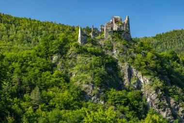 Strecno Kalesi Slovakya 'nın Zilinsky Kraj kentindeki yeşil ormanlı bir tepenin üzerinde duruyor.