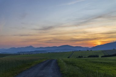 Günbatımında Slovakya 'nın Liptovsky Mikulas kentindeki tarlalardan geçen kırsal yol huzurlu bir manzara sunuyor.