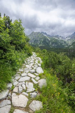 Taştan yokuş yukarı, yemyeşil doğadan dramatik dağ zirvelerine doğru.