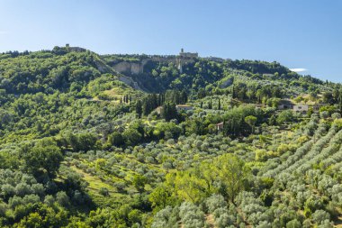 İtalya 'nın Toskana kentindeki tepeleri kaplayan ortaçağ mimarisi ve zeytin bahçeleri olan Volterra antik kenti.