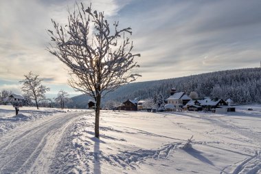 Krkonose dağlarında kışlık köy evleri ve ebedi yeşil ormanlarla karlı dağ manzarası.