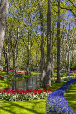 Bereketli yeşil park canlı çiçek yatakları ve bahar mevsiminde dolambaçlı bir dere sergiliyor.