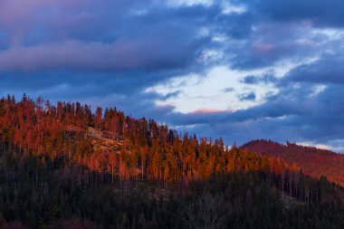 Slovakya 'da dramatik bulutlu bir gökyüzü altında bir dağ ormanını aydınlatan güneş.
