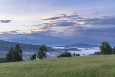 Yeşil çimenler ve ağaçlarla kaplı, sisli, dramatik bir gökyüzünün altında yuvarlanan bir tepe.