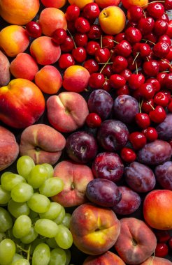 Taze şeftaliler, erikler, kirazlar, üzümler ve kayısılar canlı ve besleyici bir düzenleme oluşturuyor.