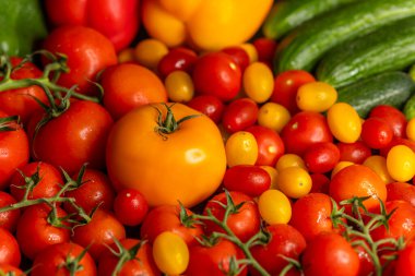 Taze toplanmış kırmızı ve sarı domatesler, dolmalık biberler ve salatalıklar canlı ve sağlıklı bir görüntü oluşturur.