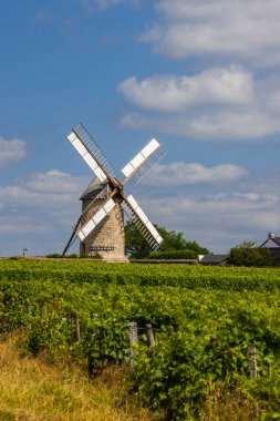Mavi gökyüzünün altında canlı bir üzüm bağında duran tarihi taş yel değirmeni