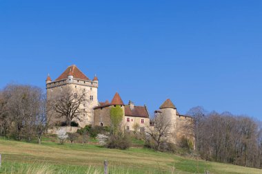 Kırmızı çatıları ve yeşil bir alana bakan taş kuleleri olan tarihi Chateau de Le Pin.