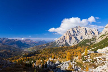 Cortina d 'Ampezzo' nun sonbahar manzarası boyunca dağ yolunda giden minibüs.
