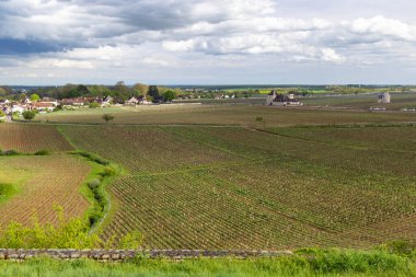 Köye doğru uzanan büyük üzüm bağları ve Clos de Vougeot Şatosu
