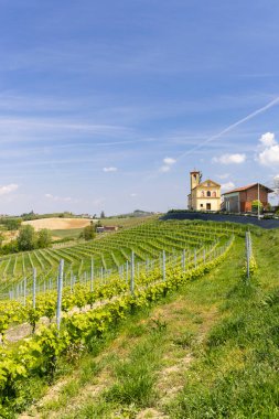 Yuvarlanan üzüm bağları ve açık mavi gökyüzünün altındaki tepede uzak bir kilise.