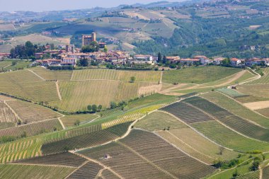 Monforte d 'Alba köy kalesi ve genişleyen üzüm bağlarına bakan evler Piedmont, İtalya' da