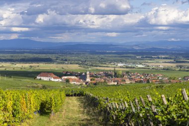 Bulutlu bir gökyüzünün altındaki üzüm bağlarının arasına kurulmuş geleneksel bir Alsas köyünü gösteren manzara.