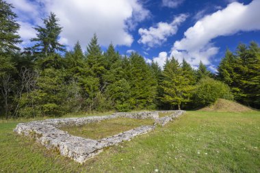 Ormanlı bir tarladaki arkeolojik bir alanın antik taş temelleri.