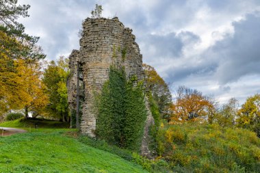 Taş kale, bulutlu bir gökyüzünün altında canlı sonbahar ağaçları olan çimenli bir tepenin üzerinde duruyor.