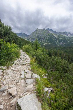 Sarp kayalıklar dağ yamaçlarını aşıyor yemyeşil bitki örtüsü ve dramatik zirvelerle.