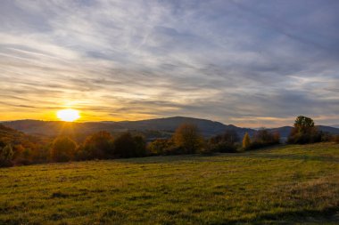 Çimenli bir tarlanın ve renkli ağaçların ardında batan altın güneşli sonbahar manzarası