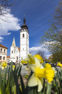 Çekoslovakya 'nın Pisek kentindeki Bakalare caddesinde çiçek açan bahar nergisleri, tarihi Bakire Meryem' in Doğumu Kilisesine ev sahipliği yapıyor.