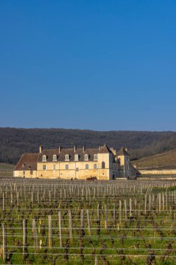 Tarihsel Fransız şatosu berrak mavi bir gökyüzünün altında uykudaki asmalar arasında duruyor.